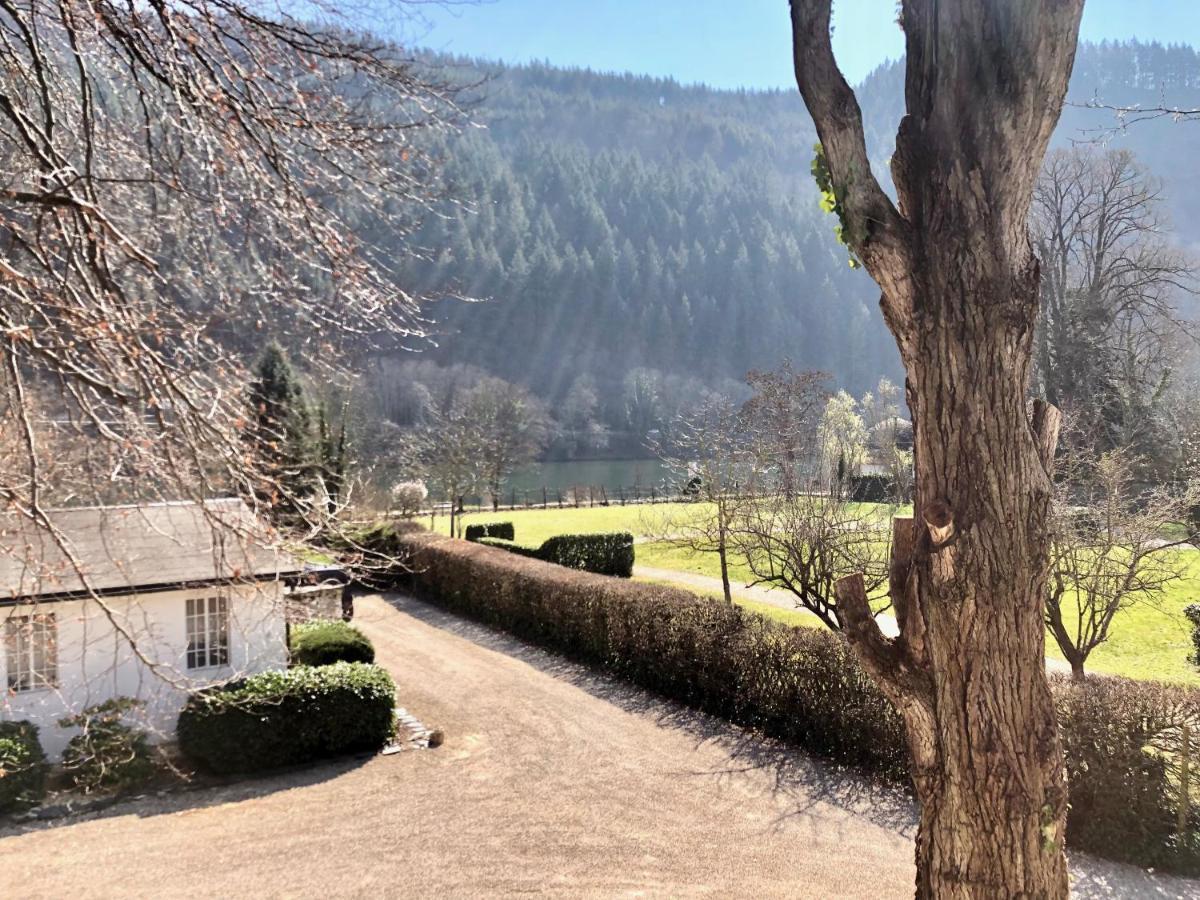 Ferienwohnung Weingut Villa Huesgen am Mönchhof Traben-Trarbach Exterior foto